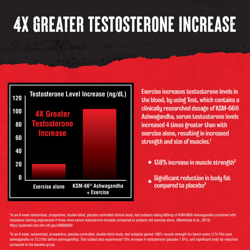 TESTOSTERONE INCREASE with ANIMAL TEST 