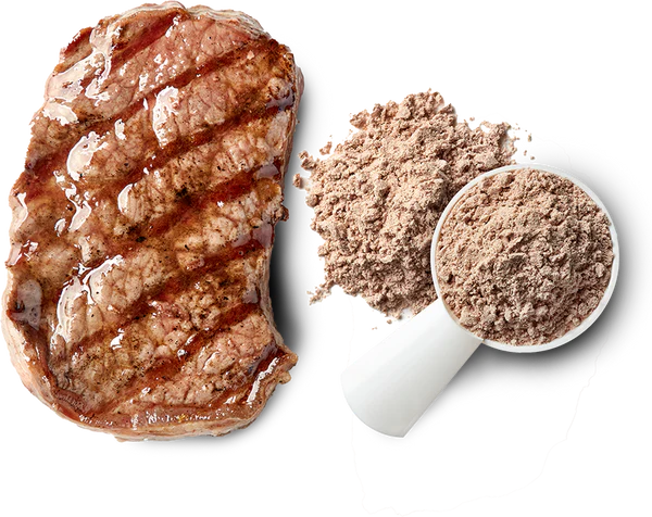 CARNIVOR - BIFTEK I PROTEIN 